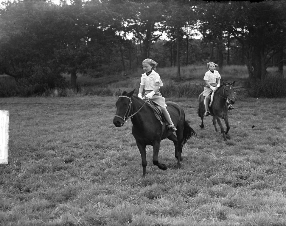 Concours Hippique , Koninklijke familie, Bestanddeelnr 903-5416