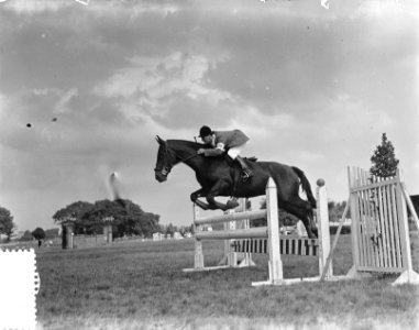 Concours Hippique Den Haag. Prinses Irene en Prins Bernhard . Ook de nummers 526, Bestanddeelnr 905-2706
