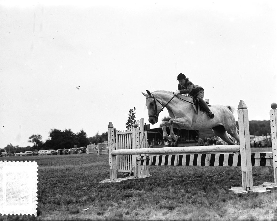 Concours Hippique Den Haag. Prinses Irene springt, Bestanddeelnr 905-2675