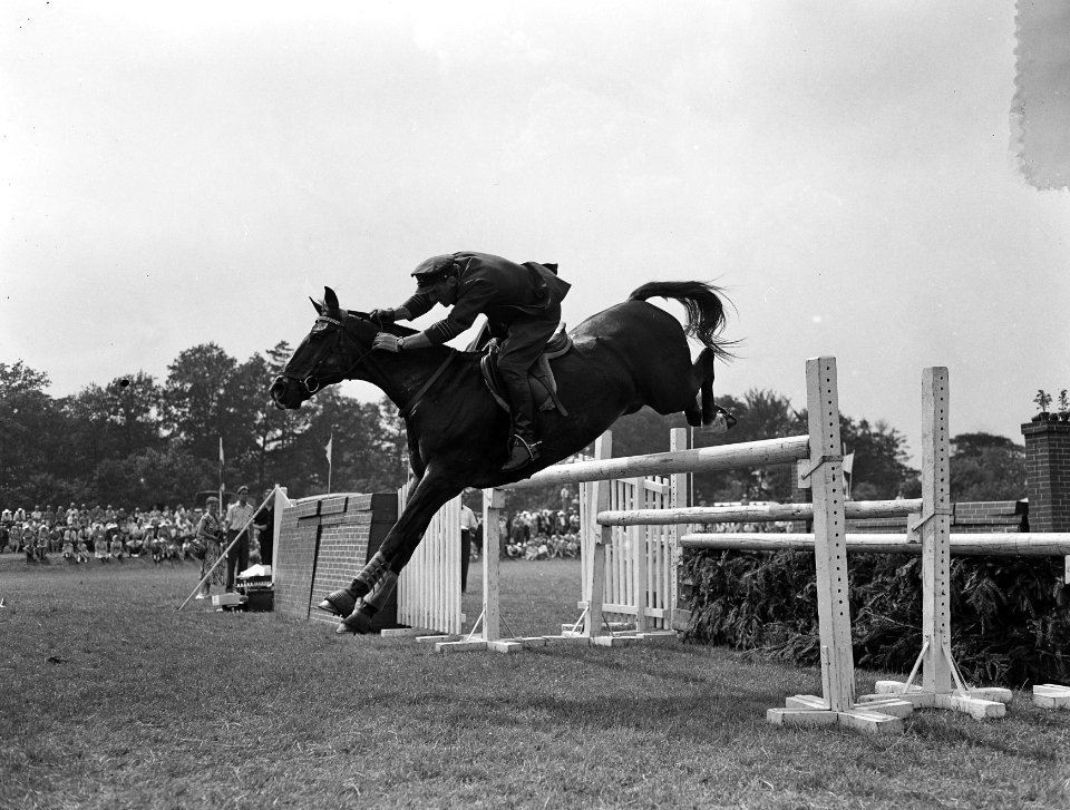 Concours Hippique Wolvega, J. J. Gruppelaar, Bestanddeelnr 907-2341
