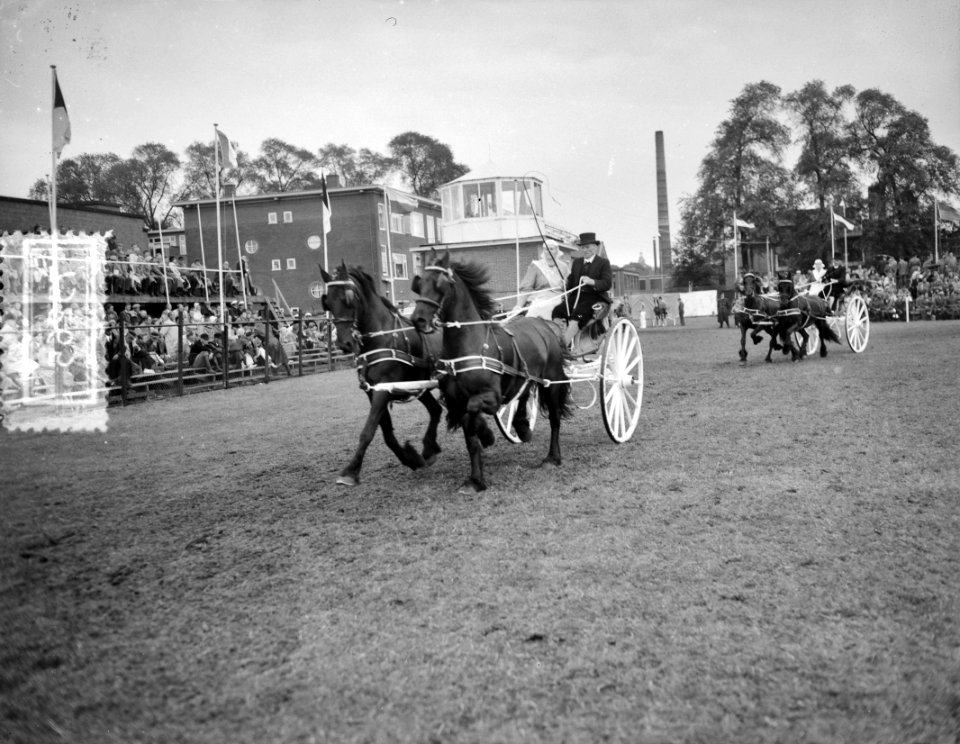 Concours Hippique Utrecht, Bestanddeelnr 907-3265