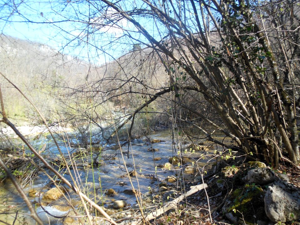 Confluence rivers 2