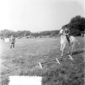 Concours Hippique Den Haag. Prinses Irene en Prins Bernhard . Ook de nummers 526, Bestanddeelnr 905-2704