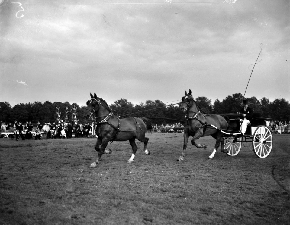 Concours tweespannen tuigpaarden Groningen S Offringa Kampoen Nederland, Bestanddeelnr 907-9669