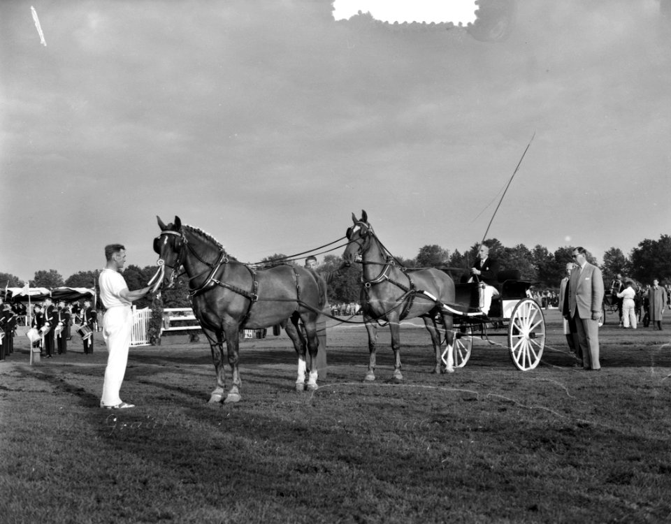 Concours tweespannen tuigpaarden Groningen S. Offringa Kampoen Nederland, Bestanddeelnr 907-9667