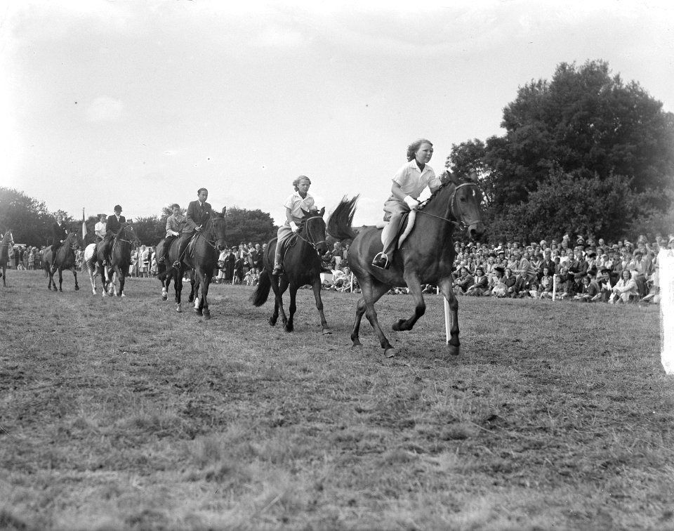 Concours Hippique Den Haag. Prinses Beatrix en Prinses Irene, Bestanddeelnr 903-5409