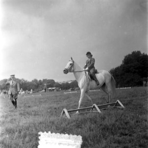 Concours Hippique Den Haag. Prinses Irene en Prins Bernhard . Ook de nummers 526, Bestanddeelnr 905-2702