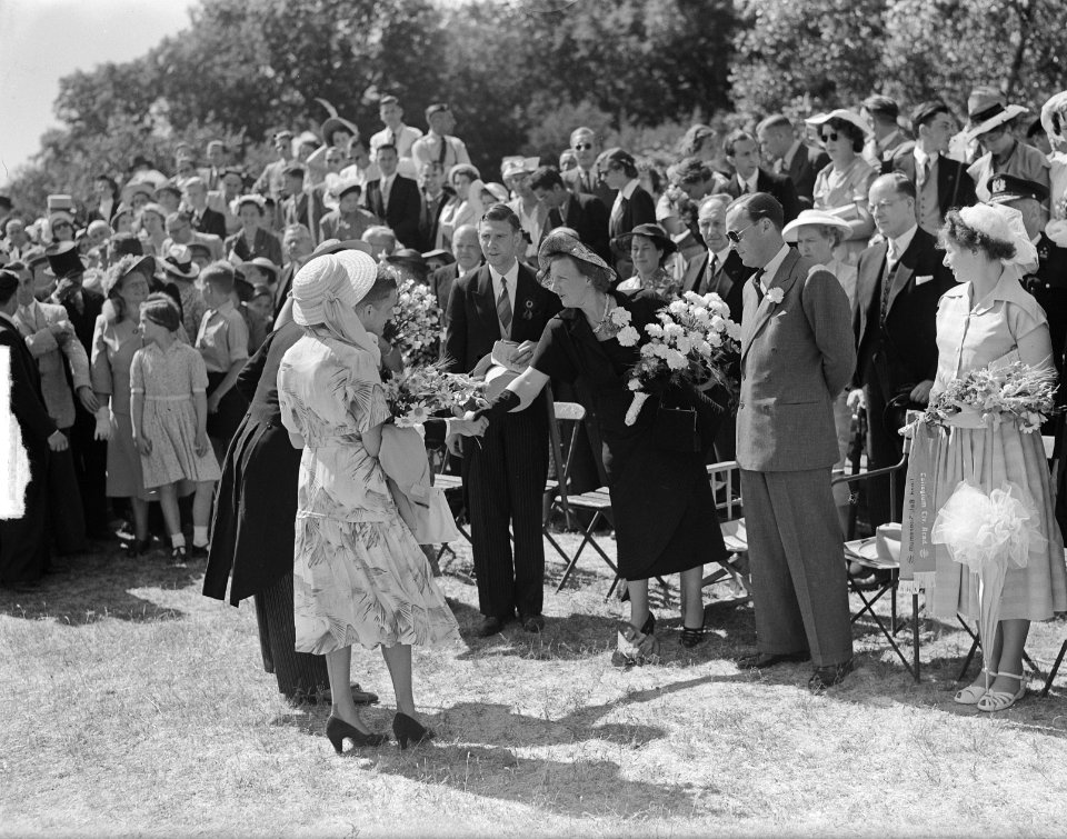 Concours Hippique Den Haag, Bestanddeelnr 904-0115