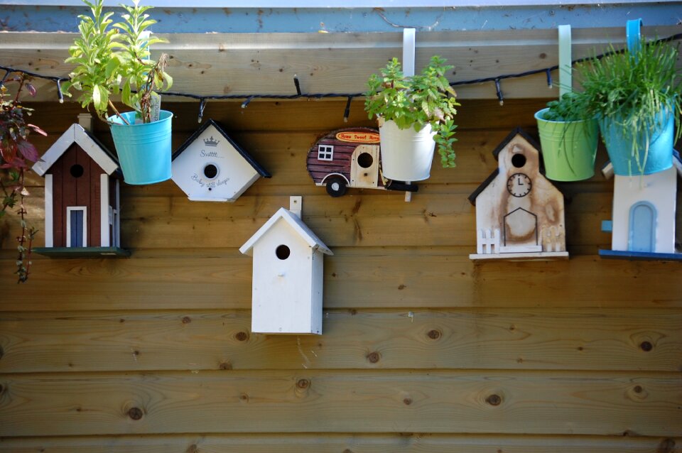 Nature bird wooden house