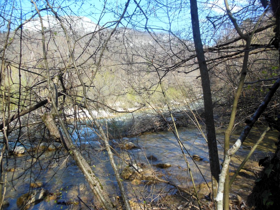 Confluence rivers 1