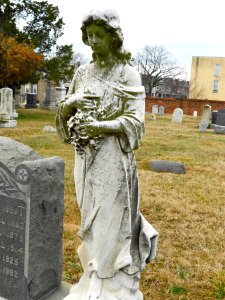 Cong Cem DC Metzel family