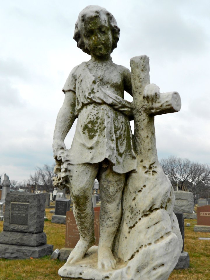 Cong Cem DC Davis