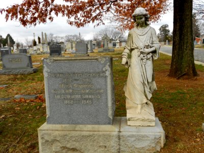 Cong Cem DC Summers