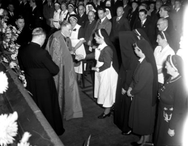 Congres Wit-Gele Kruis Kardinaal De Jong, Bestanddeelnr 902-8498