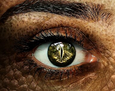 Woman the eye of a woman daemon