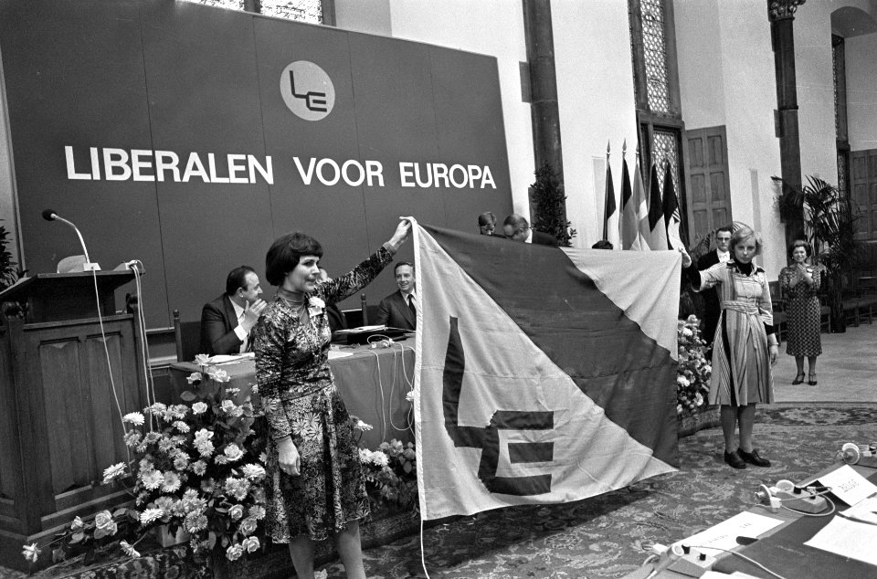 Congres Liberale en Democratische Patijen in EG in Den Haag overzicht, Bestanddeelnr 928-8739