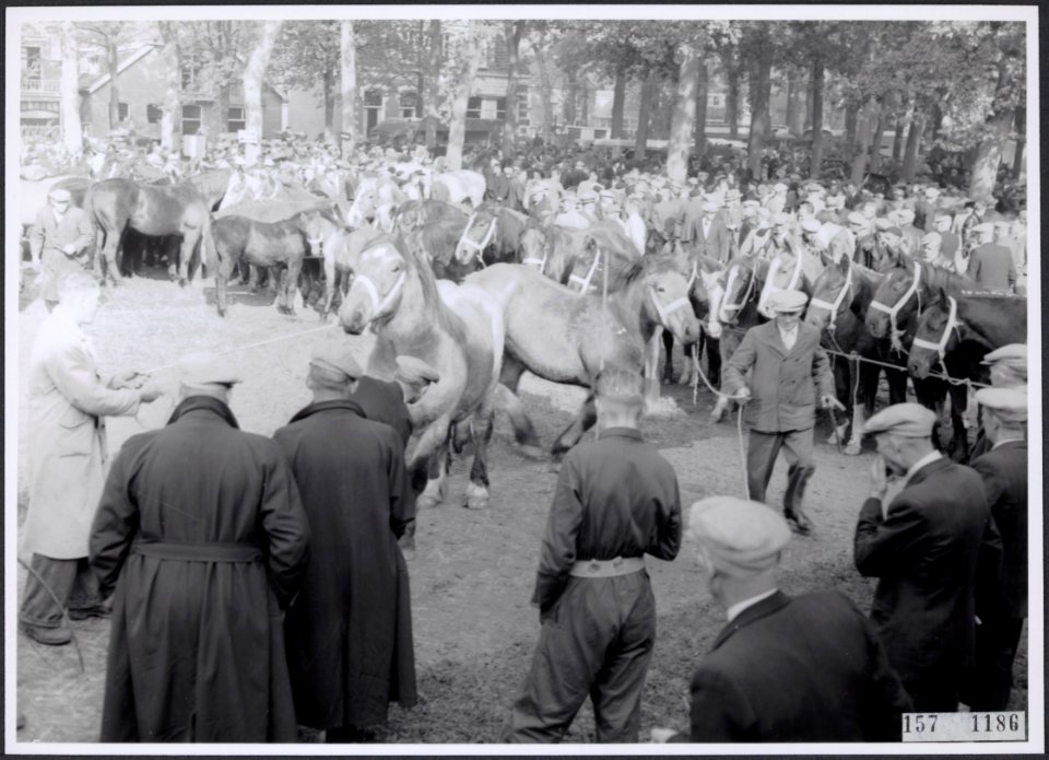 Collectie Fotocollectiie Afdrukken ANEFO Rousel, fotonummer 157-1186, Bestanddeelnr 157-1186