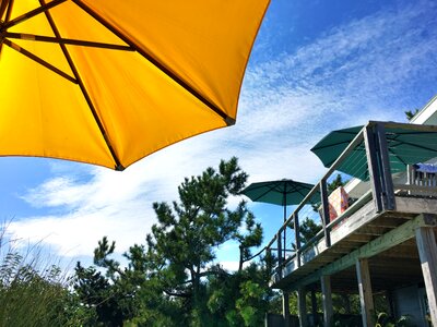 Fire island pines sunbathing photo