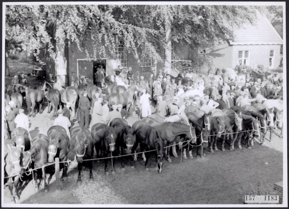 Collectie Fotocollectiie Afdrukken ANEFO Rousel, fotonummer 157-1183, Bestanddeelnr 157-1183