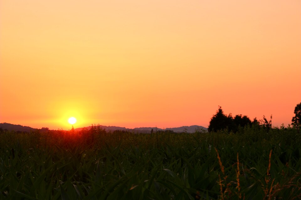 Twilight colors landscape