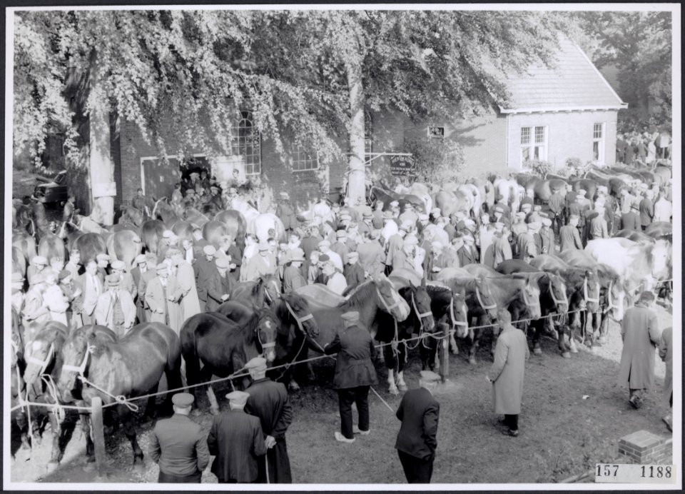 Collectie Fotocollectiie Afdrukken ANEFO Rousel, fotonummer 157-1188, Bestanddeelnr 157-1188