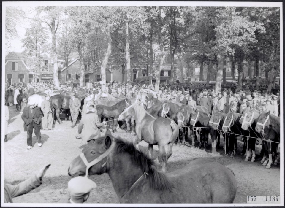 Collectie Fotocollectiie Afdrukken ANEFO Rousel, fotonummer 157-1185, Bestanddeelnr 157-1185