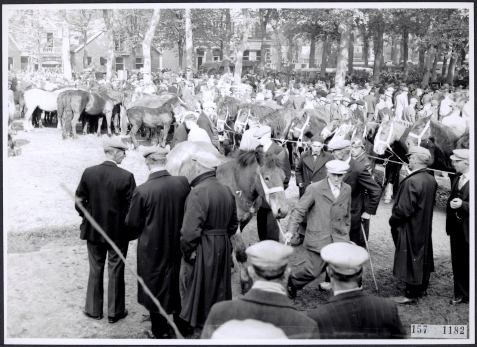 Collectie Fotocollectiie Afdrukken ANEFO Rousel, fotonummer 157-1182, Bestanddeelnr 157-1182