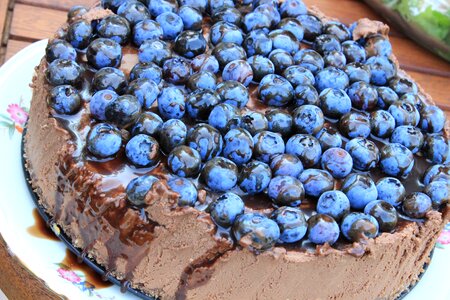 Cake blueberries fruit photo