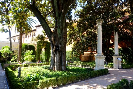 Columns in the Garden of Dance - Alcázar of Seville, Spain - DSC07474