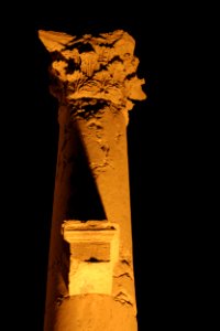 Column in Palmyra at night
