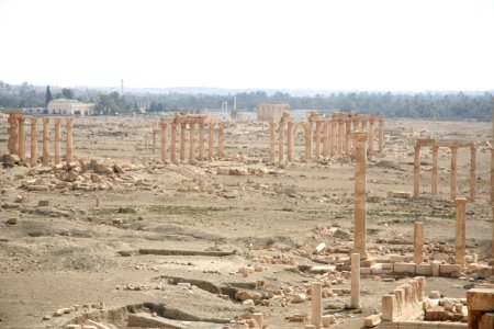 Columns and space in Palmyra