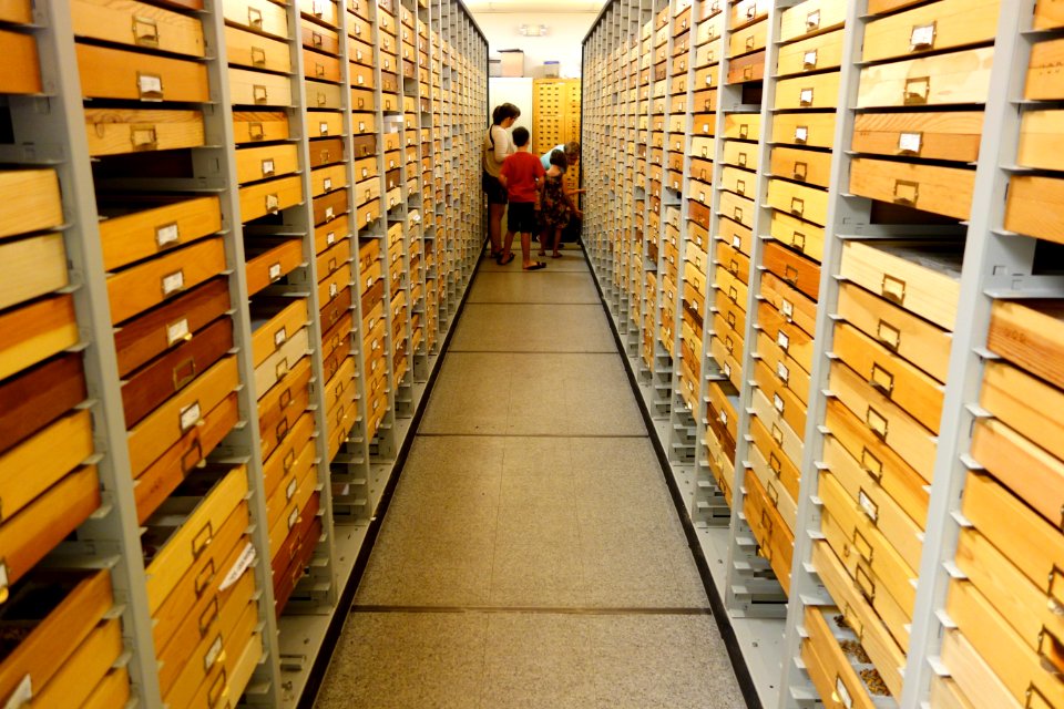 Collection - Bohart Museum of Entomology - University of California, Davis - DSC03336