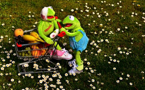 Kermit frog shopping cart