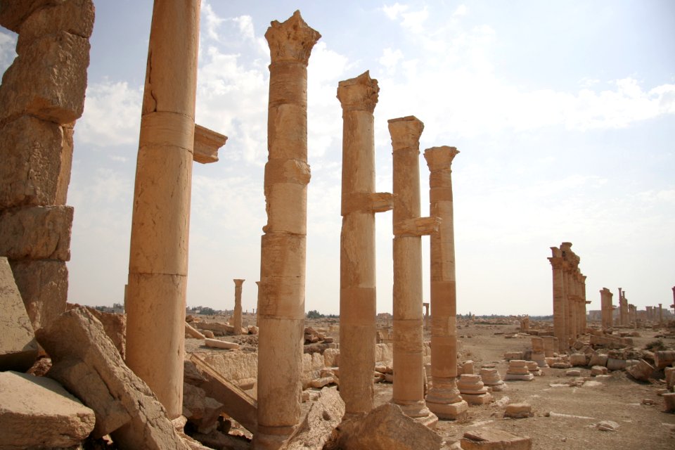Columns in Palmyra aside the road