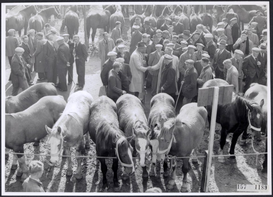 Collectie Fotocollectiie Afdrukken ANEFO Rousel, fotonummer 157-1189, Bestanddeelnr 157-1189