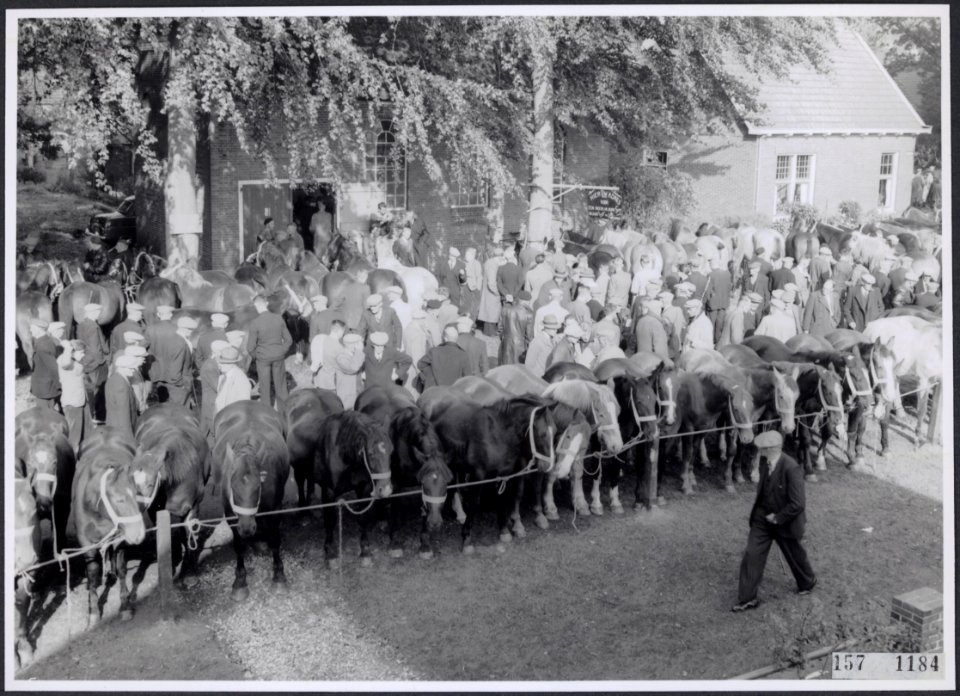 Collectie Fotocollectiie Afdrukken ANEFO Rousel, fotonummer 157-1184, Bestanddeelnr 157-1184