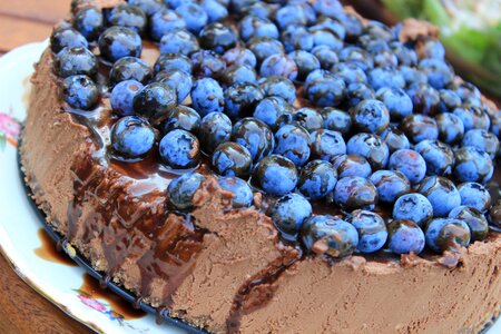 Cake blueberries fruit photo