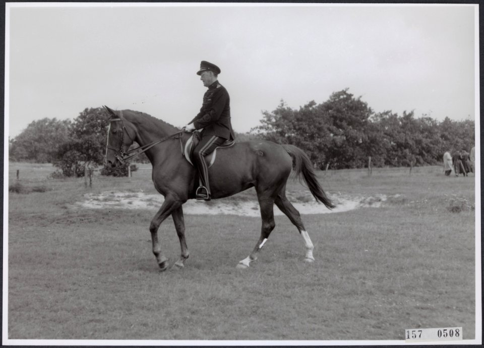 Collectie Fotocollectiie Afdrukken ANEFO Rousel, fotonummer 157-0508, Bestanddeelnr 157-0508