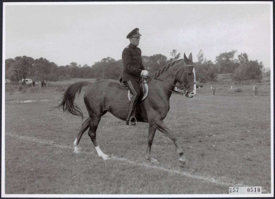 Collectie Fotocollectiie Afdrukken ANEFO Rousel, fotonummer 157-0510, Bestanddeelnr 157-0510