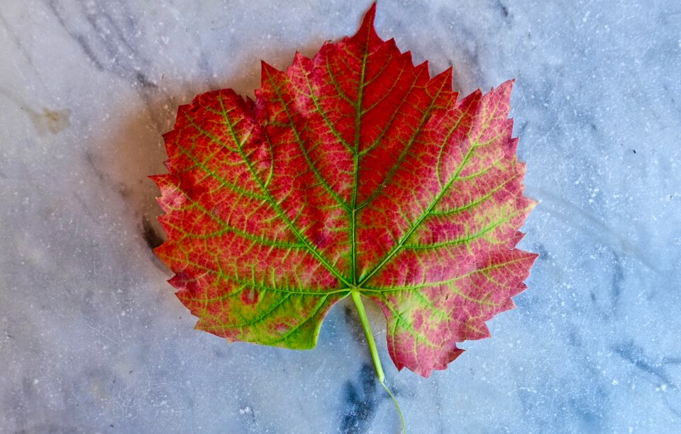Colorful seasonal nature