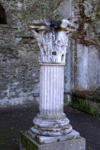 Column - Villa of Domitian - Barberini Gardens - Castel Gandolfo - DSC04297