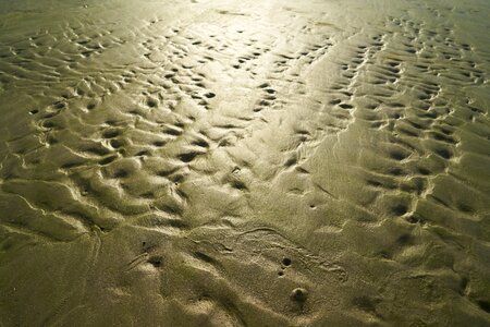 Abstract nature environmental