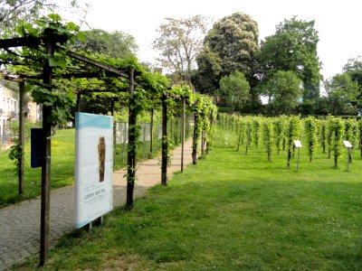 Colombipark (Freiburg) - DSC06544
