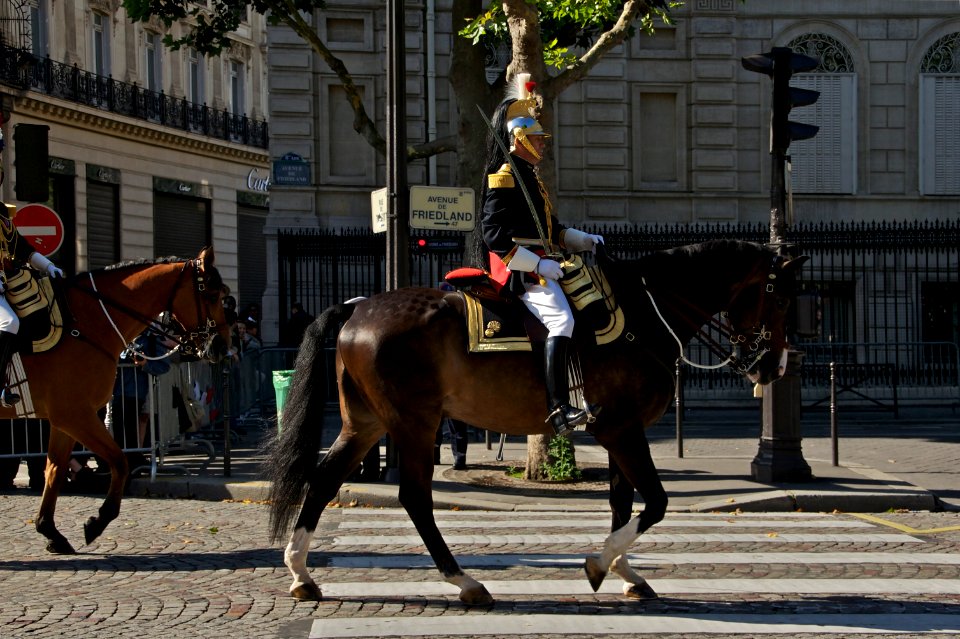 Colonel Alain Puligny commandant régiment cavalerie Garde Républicaine