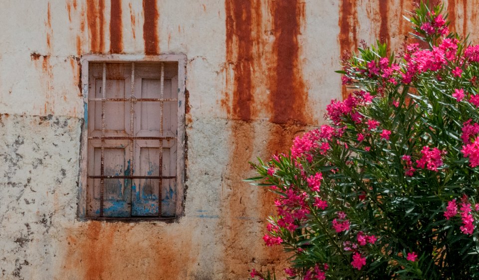 Colonial Window