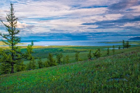 Russian border meadow forest photo