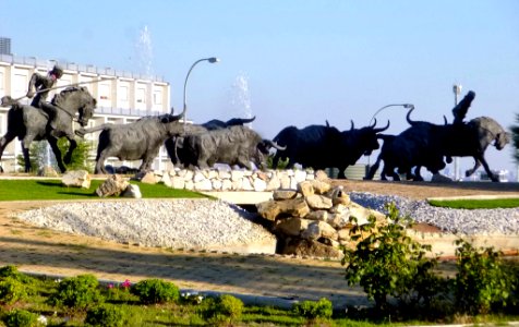 Colmenar Viejo 38