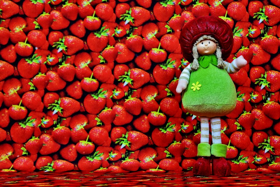 Doll fruit figure