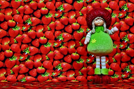 Doll fruit figure