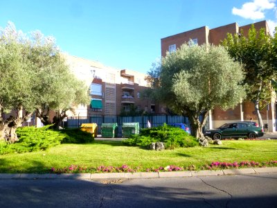 Colmenar Viejo 32